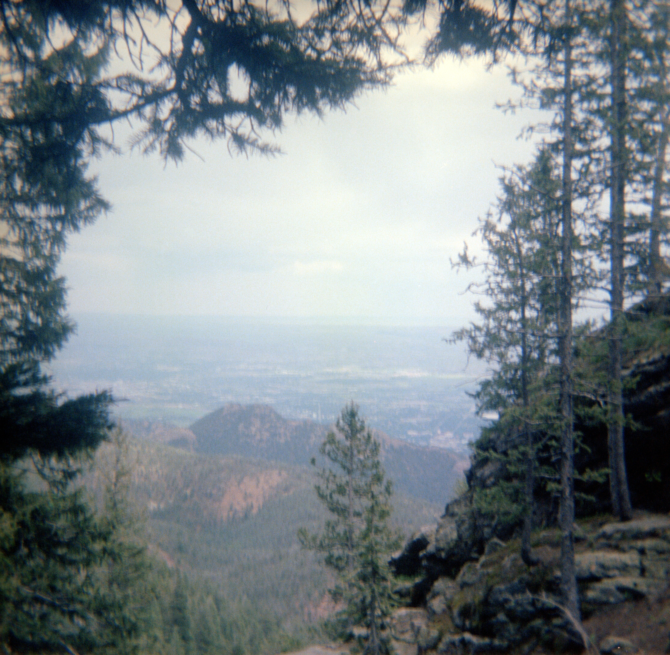 View