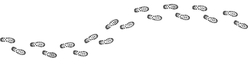 steps