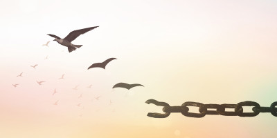 broken chain takes flight