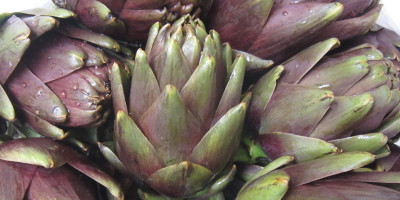 artichokes
