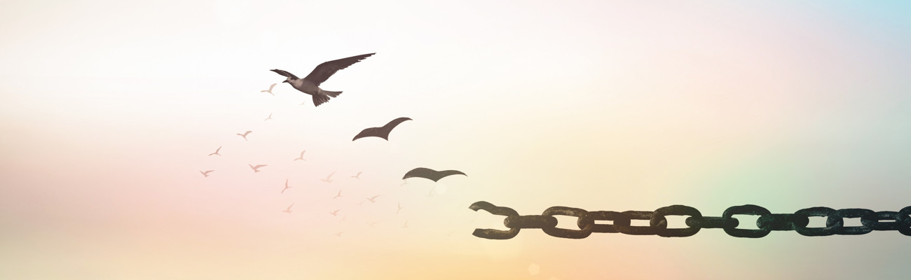 broken chain takes flight