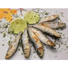 sardines