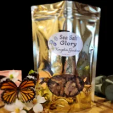 Sea Salt Glory Organic Walnuts