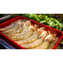 shrimp