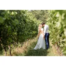vineyard wedding