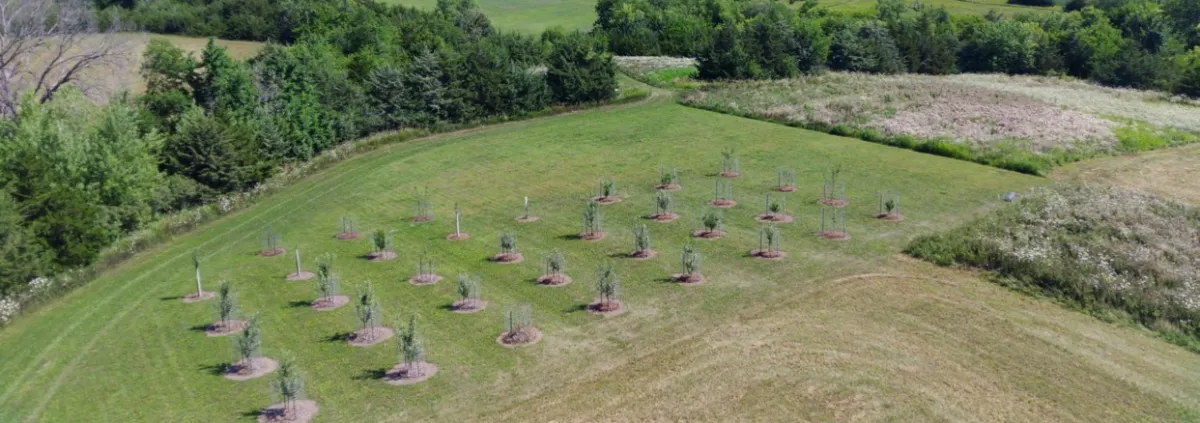 Bethany Farms