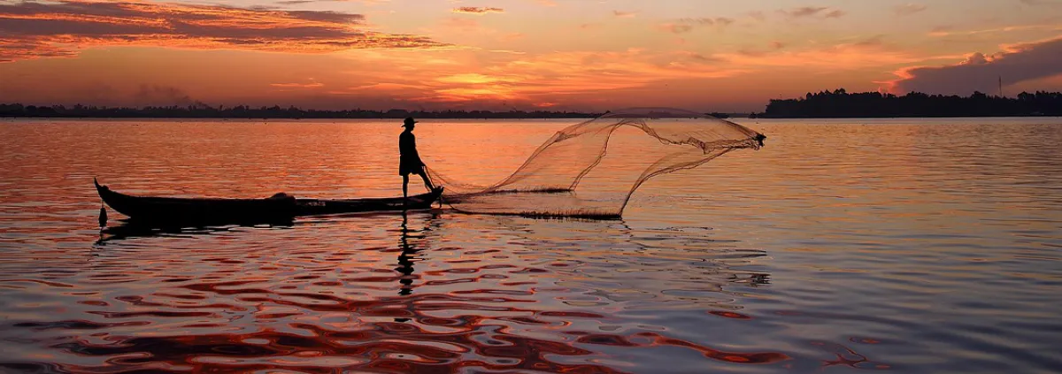fishing with nets