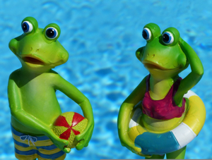frogs