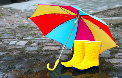 umbrella